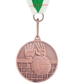 Медал волейбол